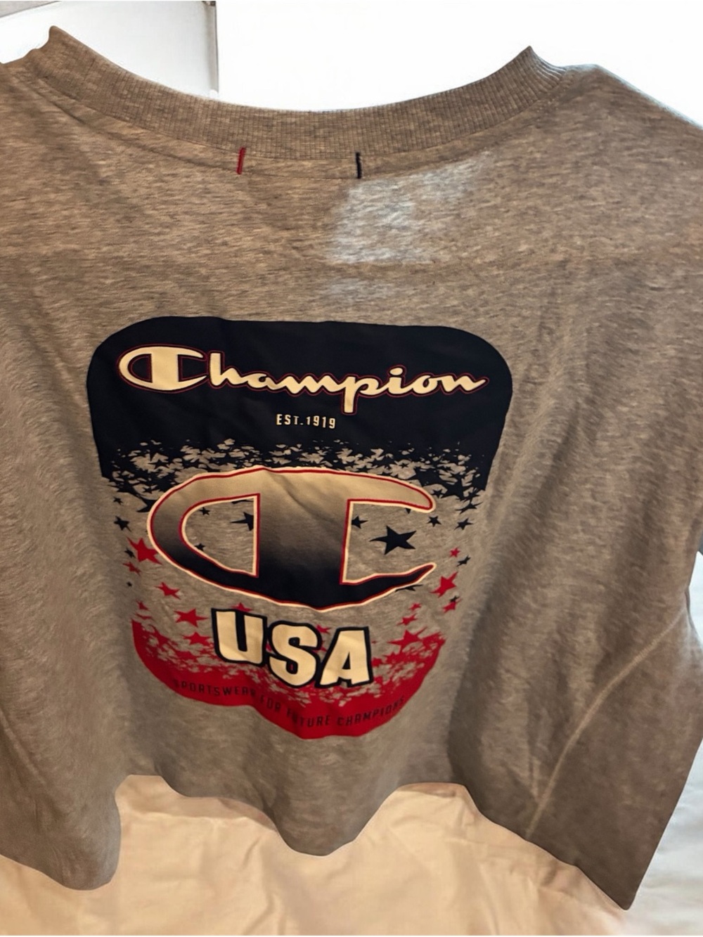 Champion Kids Gray Graphic USA Sweatshirt with Red & Navy Accents